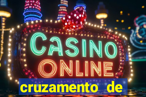 cruzamento de cavalo com mula